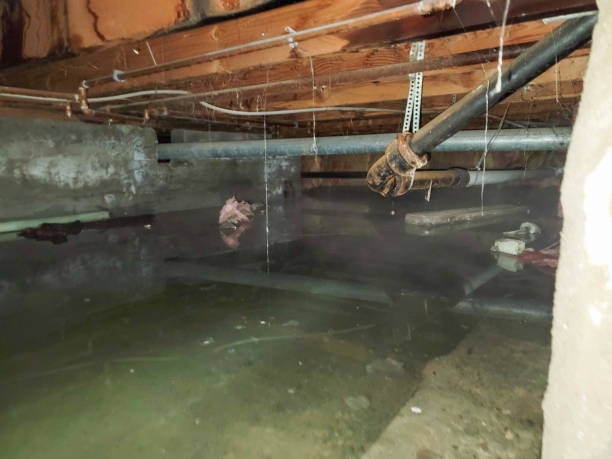 Best Water damage contractors near me  in Johnstonville, CA