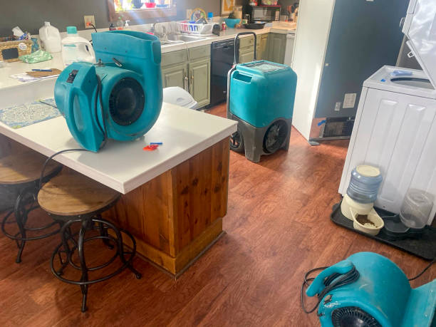 Best Local water damage restoration  in Johnstonville, CA