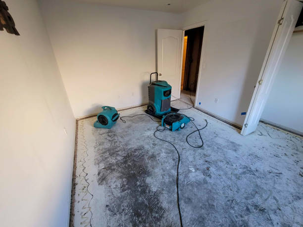 Best Water damage restoration near me  in Johnstonville, CA