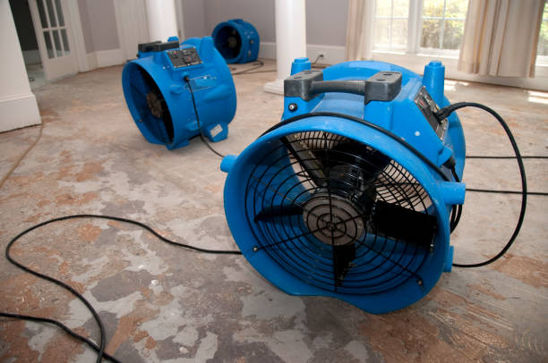 Best Water damage restoration process  in Johnstonville, CA
