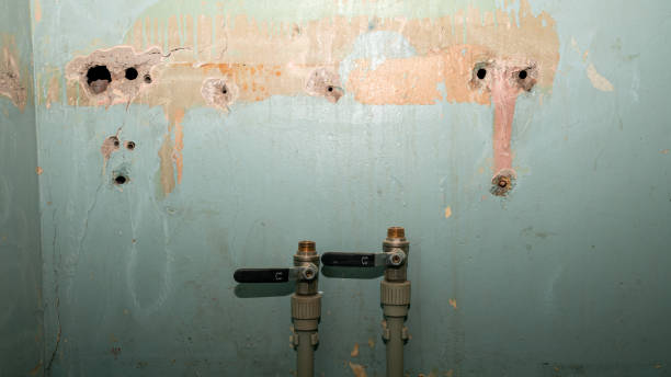 Best Basement water damage restoration  in Johnstonville, CA