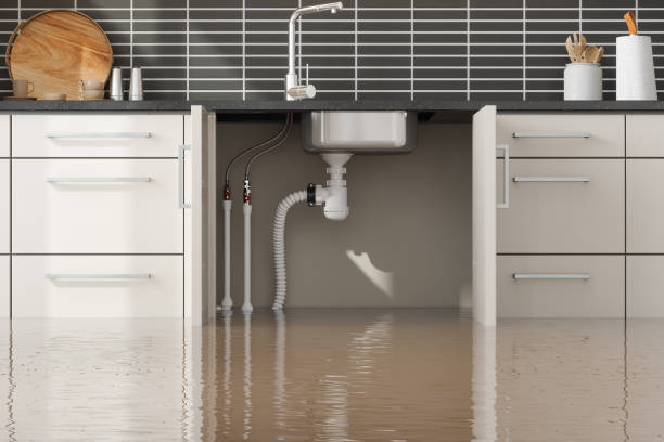 Best Ceiling water damage repair  in Johnstonville, CA