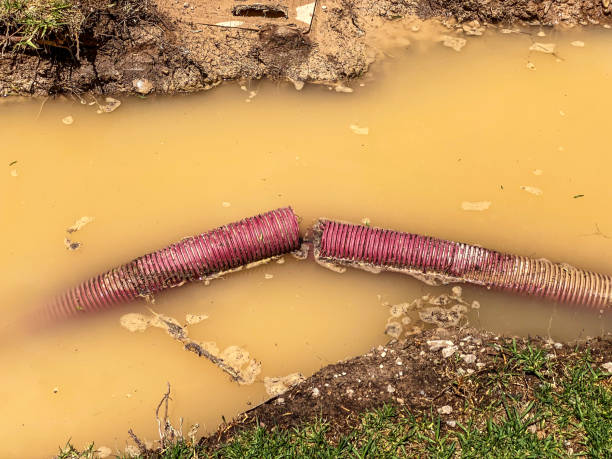 Best Flooded house restoration  in Johnstonville, CA