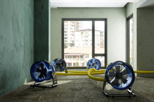 Best Carpet water damage restoration  in Johnstonville, CA