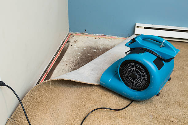 Best Basement water damage restoration  in Johnstonville, CA